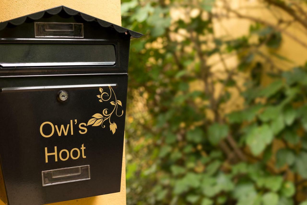 Willa Owl'S Hoot Thorndon Zewnętrze zdjęcie